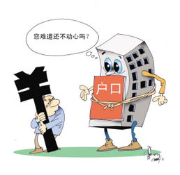 深圳企業員工社保代理服務全解析 價格、服務內容與選擇指南